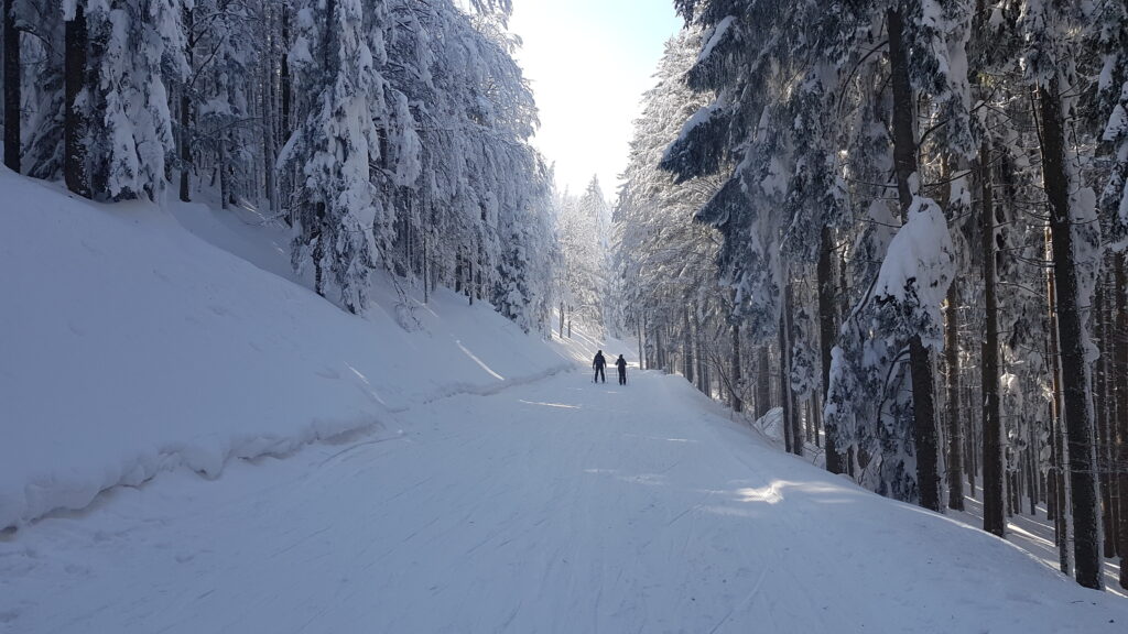 Poveznica Bolfenk - Areh na Mariborskom Pohorju